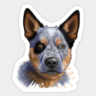 Cute Australian Cattle Dog Drawing Sticker